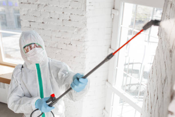 Best Comprehensive Air Testing for Mold Contaminants  in Kokomo, IN