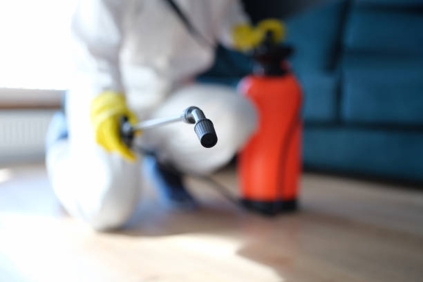 Best Indoor Air Quality Assessment  in Kokomo, IN