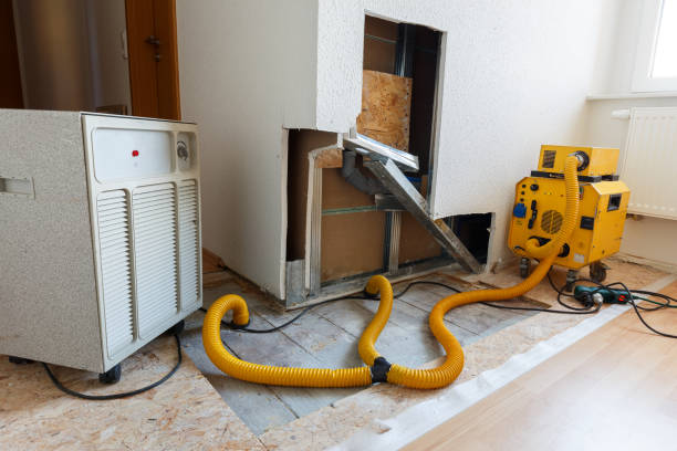 Best Mold Prevention Services  in Kokomo, IN